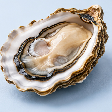 Studio ingredient image: Oyster Extract